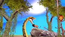 Lion Vs Phyton Epic Fight | Incredible Animals 3D Animation Fights | Lion Cartoons | Animals Rhymes