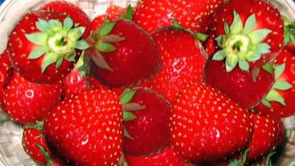 Charlie and Lola S1E05 There Is Only One Sun and That Is Me