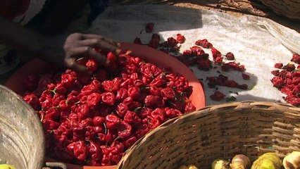 The Genies of the River - Now in Hight Quality! (Part 4/5)