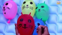 Colors Wet Balloons Compilation | Learn Colours Balloon | Finger Family Nursery Rhymes Songs
