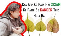 Kya App Ko Pata Hai SISAM Ke Patte Se CANCER Thik Hota Hai