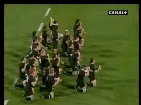 Nouvelle Zelande - Afrique du Sud - Haka