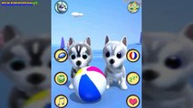 My Talking Dog Husky: Husky Kids Play With Each Other Game App For Kids.
