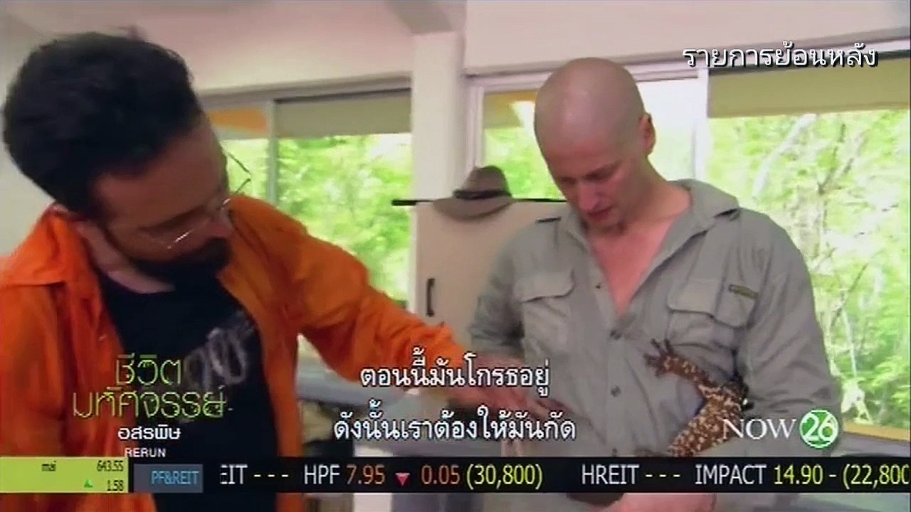 สารคดี HD | ชีวิตมหัศจรรย์ ตอน อสรพิษ