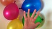 Five Wet Colours water Balloons-Learn Colors water Balloon Finger Family Nursery Rhymes song