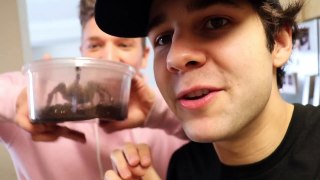 SURPRISING GIRLFRIEND WITH TARANTULA!!-tTYTMYJ-g48