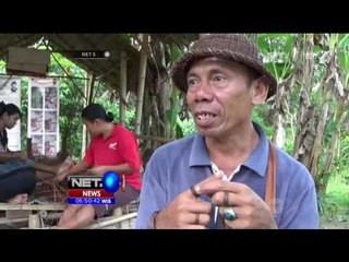 Aneka Aksesoris dari Tumbuhan Liar - NET5