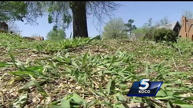 Oklahoma couple accused of having sex in front yard; Neighbors horrified