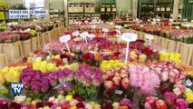 Pour la Saint-Valentin, offrez des roses sans pesticide