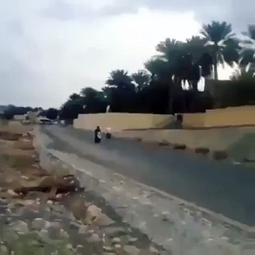 Harbiden helal olsun