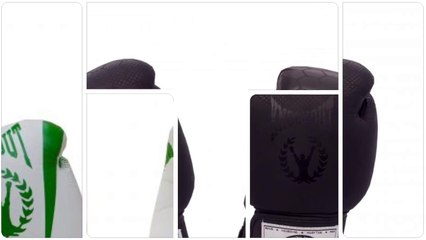 Gama de Manusi de Box Calitate