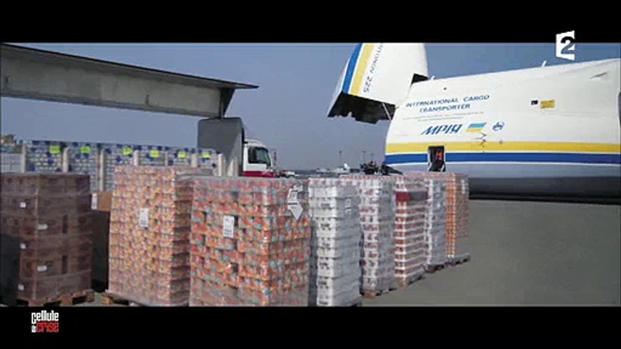 Fukushima : Les énormes ratés de l'aide envoyée par la France aux Japonais - Regardez