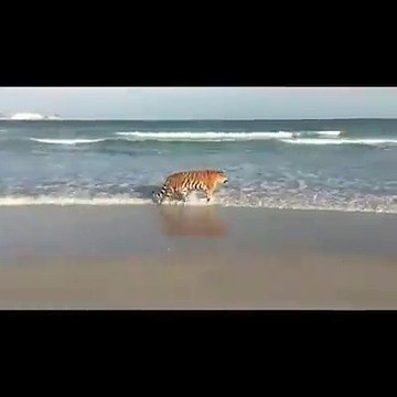 অসাধারণ+খুবই ভয়ানক!!