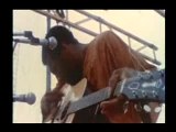 Richie Havens Handsome Johnny à Woodstock