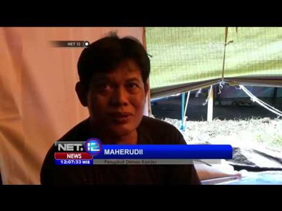 Ratusan Pengikut Dimas Kanjeng Bertahan di Padepokan - NET 12