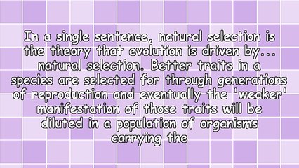 Boost Your Marketing Using Darwin's Theory Of Evolution