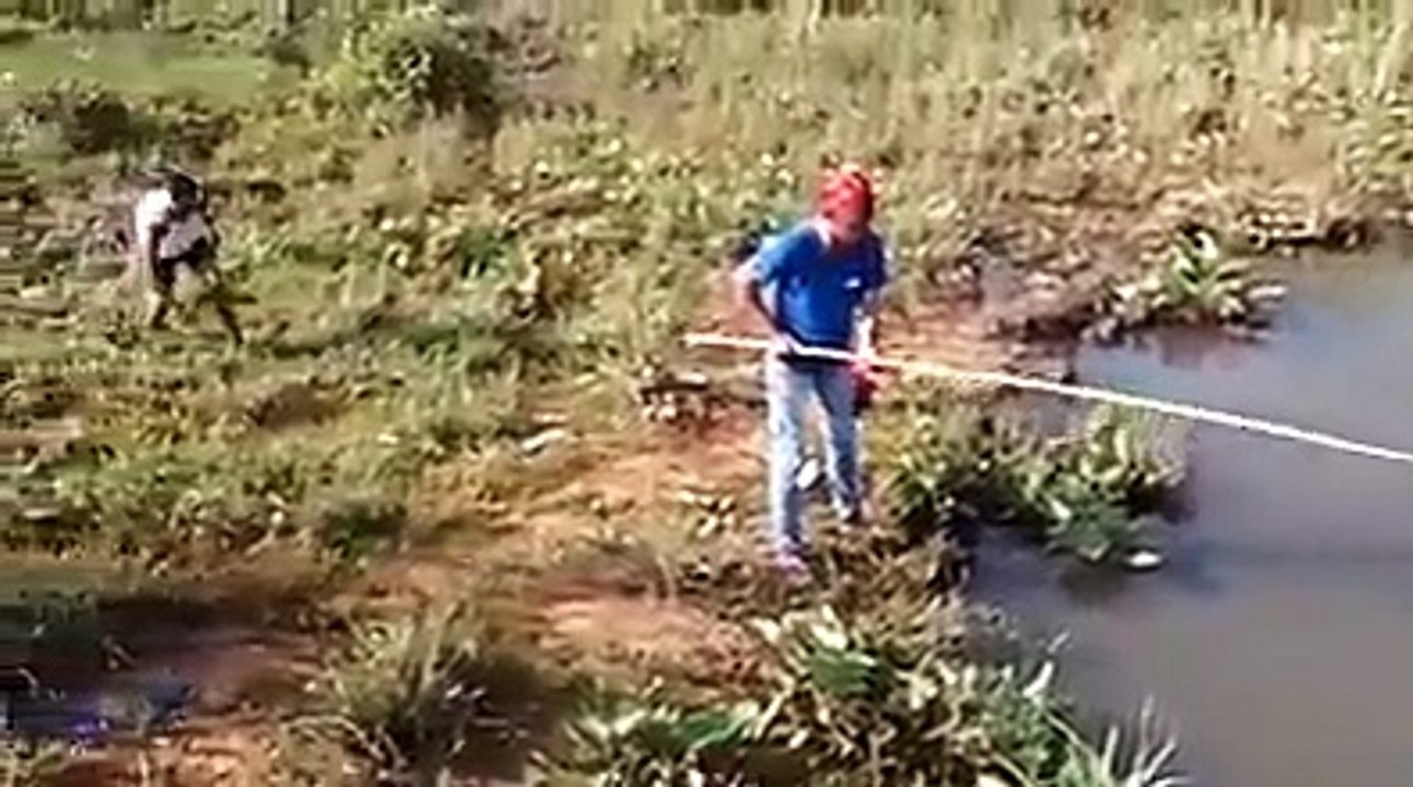 olha-a-cobra