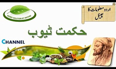 phitkari_Fitkari Ke Fayde - - Desi Nuskhe_ Health Benefits Of Fitkari (Alum)फिटकरी के चमत्कारी फायदे - YouTube