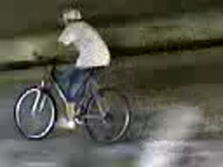 délires sous le pont