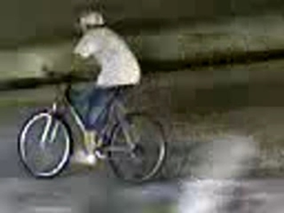 délires sous le pont