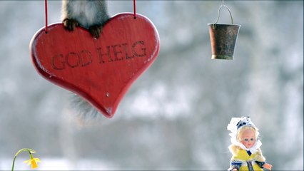 Wild red Squirrels celebrating Valentine