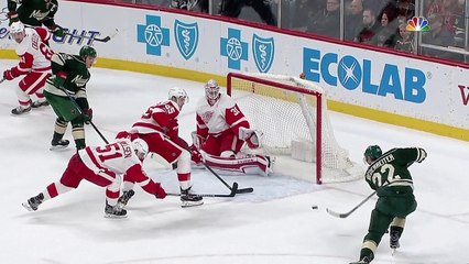 Detroit Red Wings vs Minnesota Wild | NHL | 12-FEB-2017