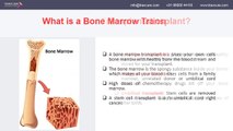 Bone Marrow Transplant What You Should Know