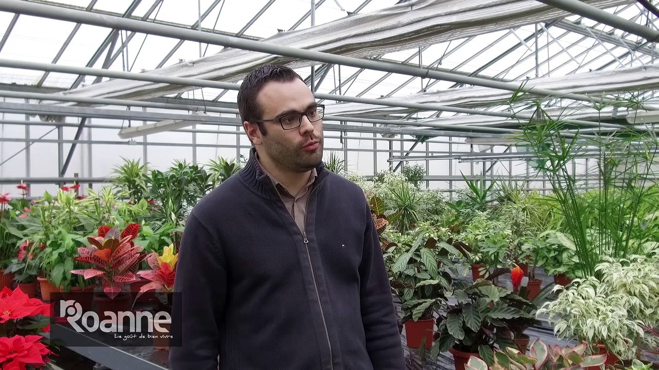 Romain Bost : Des astuces pour désherber malin !