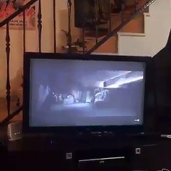 cachorro-assistindo-filme-de-terror
