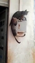 derrubando-todo-mundo