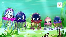 Jelly Fish Cartoon Finger Family Songs | Little Chicken Finger Family Collection Rhymes For Children