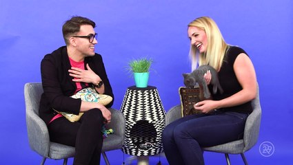 Cat Chats And Convos!