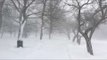 Blizzard Winds Blow Across New Brunswick