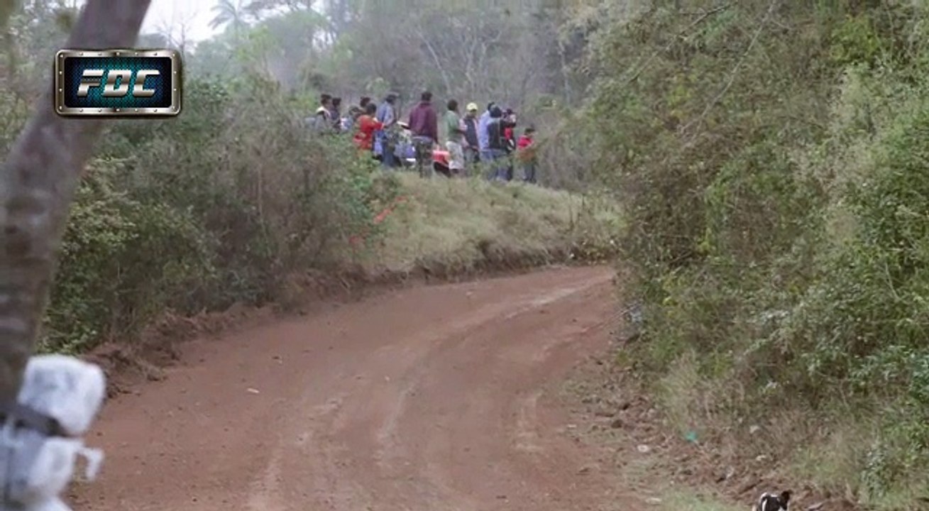 o-cachorro-mais-sortudo
