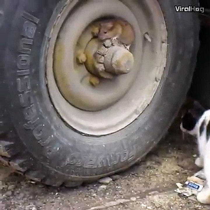 tom-e-jerry