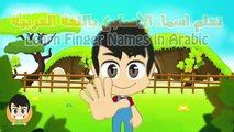 Learn Finger Names in Arabic for Kids - تعلم اسماء الأصابع باللغة العربية للأطفال
