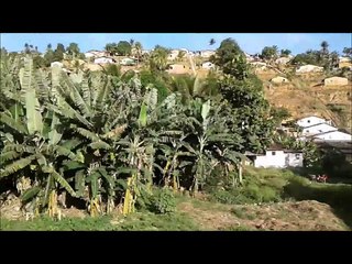 Voltando pra casa. Palmares - Recife/PE