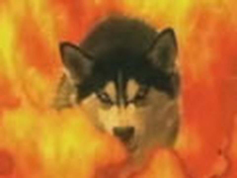 Ex Normal, Animales poseídos por el Diablo