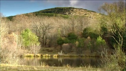 Inma - 1269 (ita) 1^ - secondo telegramma