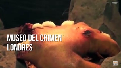 Espeluznantes museos alrededor del mundo