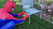 Эльза укусил паук и Человек-паук и Человек-Паук дети Паук семейного отдыха супергерой дети в реальной жизни в 4K