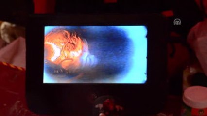 Beykoz'daki Köpeği Kurtarma Çalışmaları Devam Ediyor