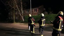 Ces pompiers peinent à déraciner un arbre. Regardez qui tire la corde avec eux