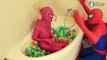SPIDERMAN vs PINK SPIDERGIRL Orbeetz Ball Pit Bath! w/ Frozen Elsa & Superdog - SUPERHERO Fun IRL :)