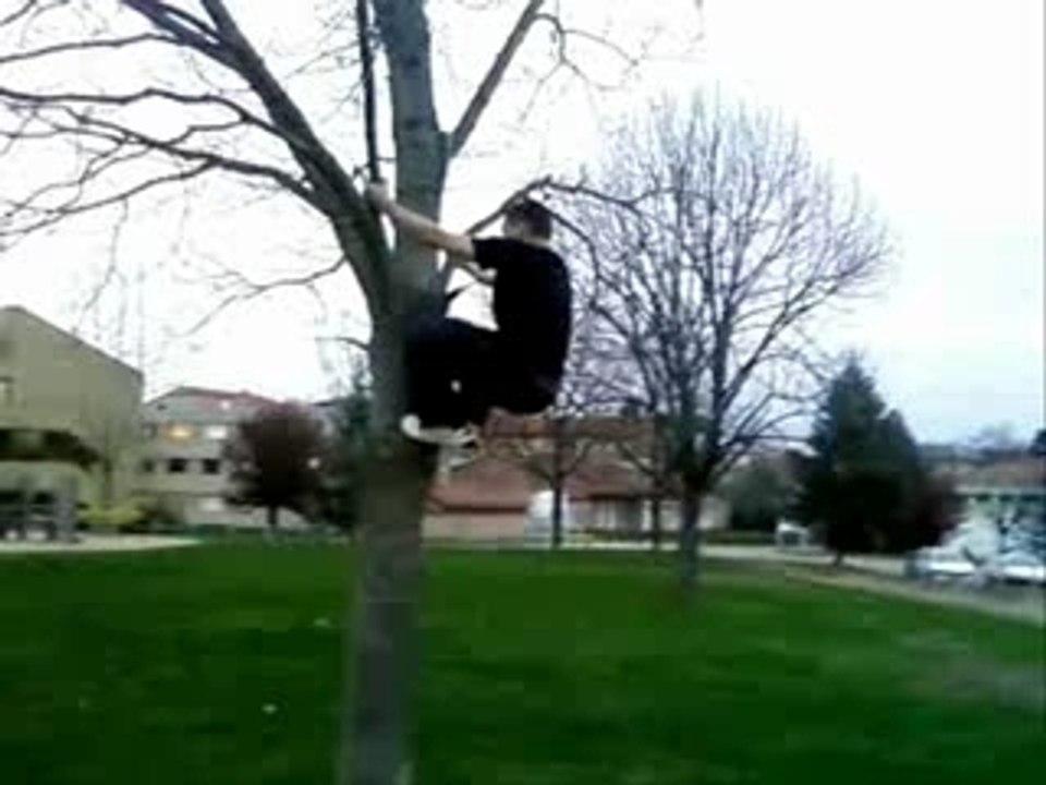 Salto arriere d'1 arbre tony montbrison