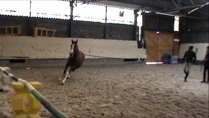 20170213 Djarrouskya Longe Sandillon