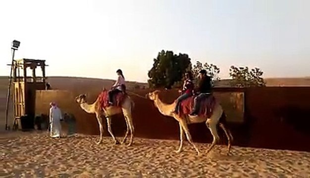 Riding a Camel - Dubai Desert Safari Adventure