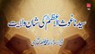 Sayyiduna Ghous-ul-Azam (R.A) ki Shan e Wilayat [Speech Shaykh-ul-Islam Dr. Muhammad Tahir-ul-Qadri]