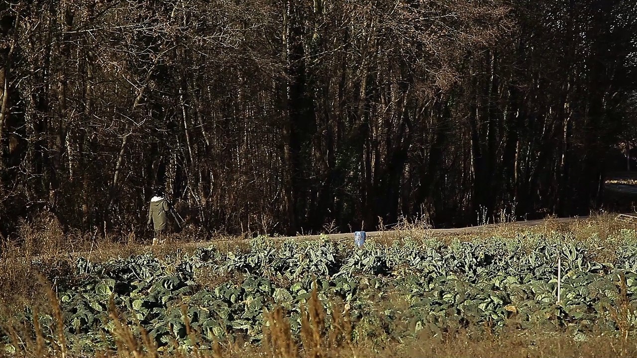 Portrait Aglaé BORY - France(s) territoire liquide