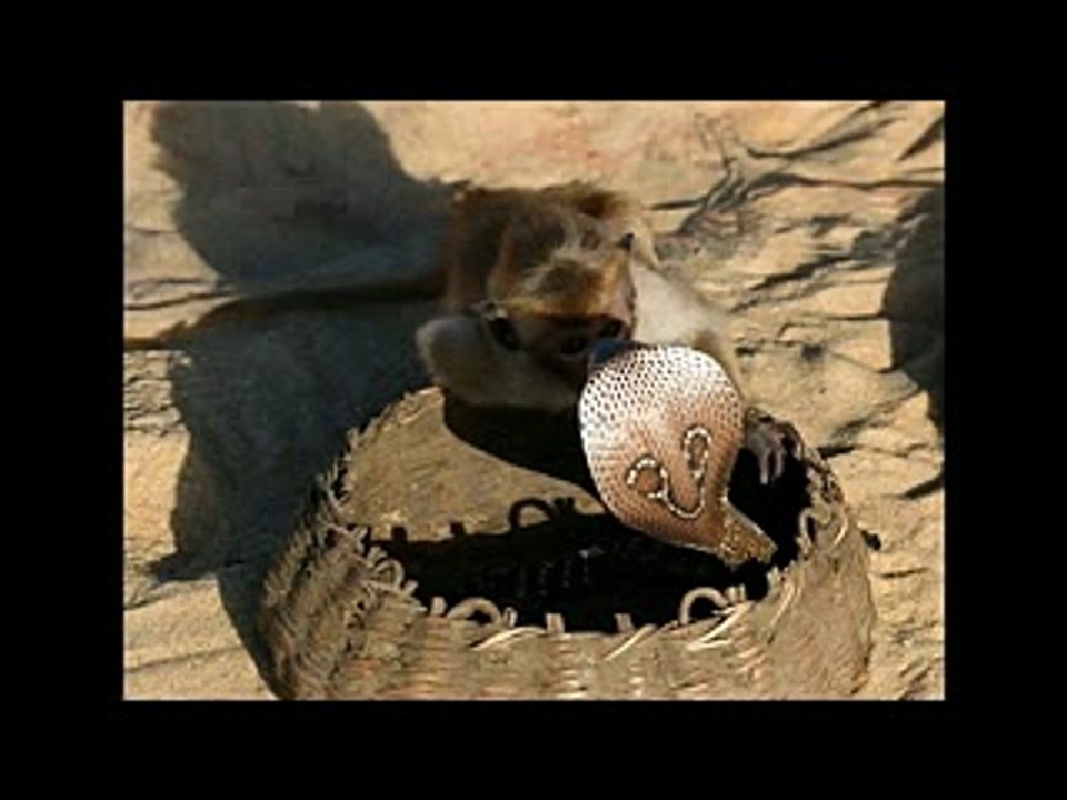 MEJOR MUSICA HOUSE/ELECTRO 2017 REMIX HD